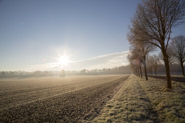 Deutschland, Baden-Württemberg, Tübingen, Einsiedel, Allee im Winter bei Sonnenaufgang - LVF000409