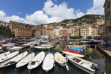 Italy, Liguria, Province of Genoa, Camogli, fishing boats at harbour - AMF001541