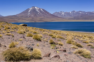 Südamerika, Chile, Atacamawüste, Laguna Miscanti, im Hintergrund die Anden - STSF000236