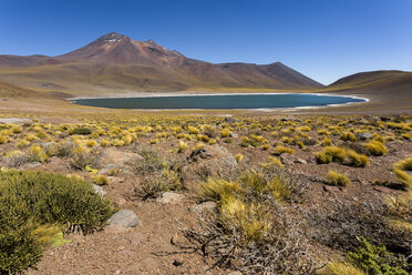 Südamerika, Chile, Atacamawüste, Laguna Miniques, im Hintergrund die Anden - STSF000228