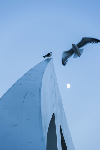 Great Britain, Scotland, Glasgow, footbridge, gulls and half moon stock photo