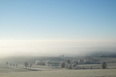 Deutschland, Baden-Württemberg, Landkreis Tuttlingen, Blick auf den Bodensee, Nebel - ELF000732