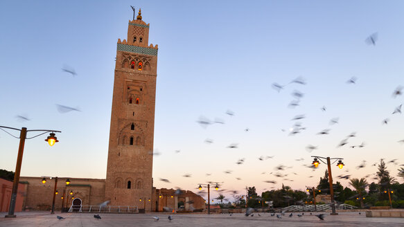 Marokko, Marrakesch, Blick auf die Koutobiya-Moschee bei Sonnenaufgang - HSIF000313
