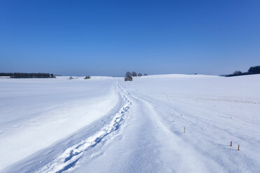 Deutschland, Bayern, schneebedeckte Landschaft mit Fußspuren - HSIF000317