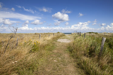 Deutschland, Schleswig-Holstein, Fehmarn, Naturschutzgebiet Grüner Brink, Weg zur Ostsee - WIF000243