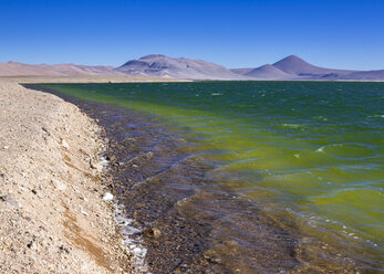 Chile, Atacama-Wüste, Lagune am Jama-Pass - STSF000247