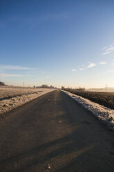 Germany, Bavaria, street and fields in the morning - SARF000184