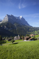 Schweiz, Berner Oberland, Grindelwald mit Eiger - WWF002918