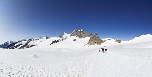 Switzerland, Bernese Oberland, Aletsch Glacier, - WW002946