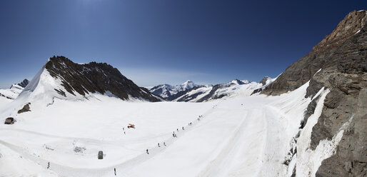 Schweiz, Berner Oberland, Aletschgletscher und Jungfraujoch - WW002928