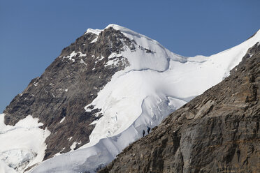 Schweiz, Berner Oberland, Aletschgletscher, Moutaineers im Abstieg vom Monch - WW002936