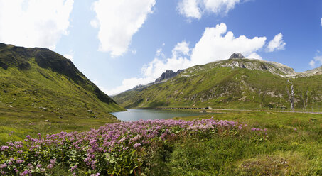 Schweiz, Graubünden, Oberalpsee und Oberalppass - WWF002972