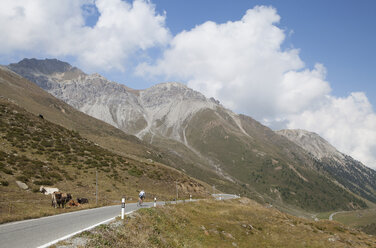 Schweiz, Graubünden, Radfahrer auf dem Umbrailpass - WW002915