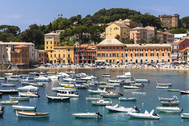 Italien, Ligurien, Sestri Levante, Baia del Silenzio - AMF001588