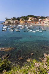 Italy, Liguria, Sestri Levante, Baia del Silenzio - AMF001581