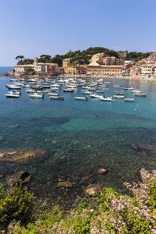 Italien, Ligurien, Sestri Levante, Baia del Silenzio - AMF001581