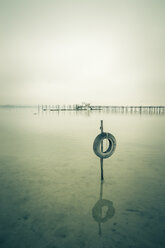 Germany, Baden-Wuerttemberg, Car tyre in water and jetty at Iznang - ELF000749