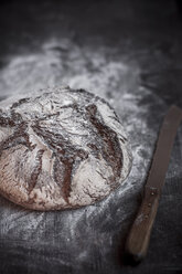 Rye-Spelt-Malt loaf, flour and bread knife on wooden table - SBDF000427