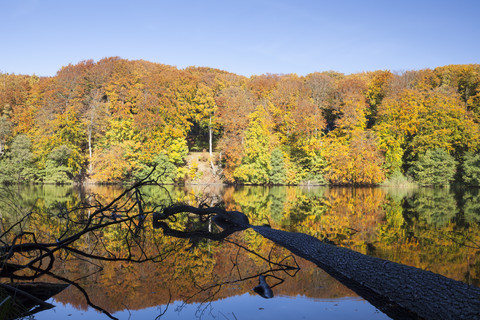 Germany, Mecklenburg-Western Pomerania, Ruegen, Jasmund National Park, Herthasee in autumn stock photo