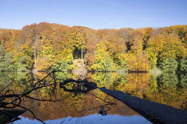 Germany, Mecklenburg-Western Pomerania, Ruegen, Jasmund National Park, Herthasee in autumn - WIF000253