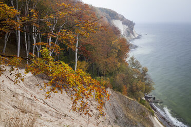 Germany, Mecklenburg-Western Pomerania, Ruegen, Jasmund National Park, chalk cliff - WIF000259