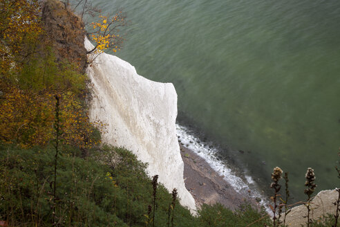 Deutschland, Mecklenburg-Vorpommern, Rügen, Nationalpark Jasmund, Wissower Klinken, Kreidefelsen - WIF000260