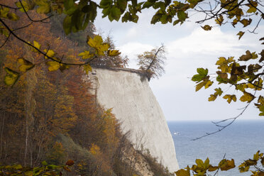 Germany, Mecklenburg-Western Pomerania, Ruegen, Jasmund National Park, chalk cliff - WIF000261