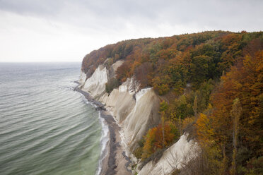 Germany, Mecklenburg-Western Pomerania, Ruegen, Jasmund National Park, chalk cliff - WIF000262