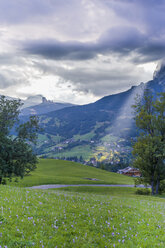 Italien, Provinz Belluno, Venetien, Cortina d'Ampezzo, Herbstkrokusse auf der Alm - MJF000441