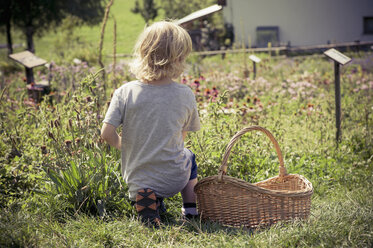 Italy, Bolzano, little boy kneeling in herb garden - MJF000444