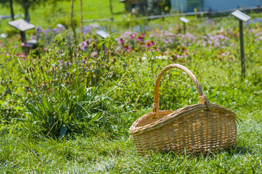 Italien, Bozen, Korb im Kräutergarten - MJ000445