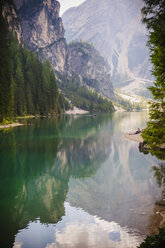 Italy, Trentino-Alto Adige, Alto Adige, Puster Valley, water reflection at Lake Prags - MJF000454