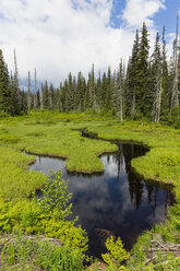 Kanada, Britisch-Kolumbien, Flusslandschaft - FOF005451