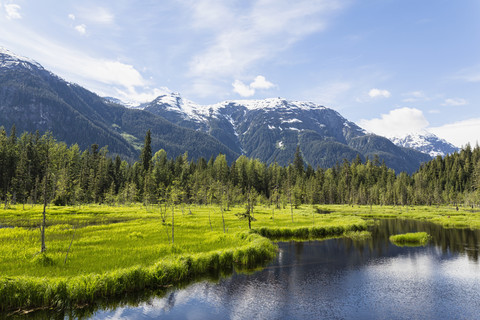 USA, Alaska, Hyder, Stewart, Flusslandschaft am Fish Creek, lizenzfreies Stockfoto