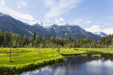 USA, Alaska, Hyder, Stewart, Flusslandschaft am Fish Creek - FOF005447