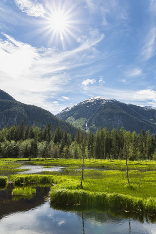 USA, Alaska, Hyder, Stewart, Flusslandschaft am Fish Creek, lizenzfreies Stockfoto