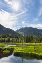 USA, Alaska, Hyder, Stewart, River landscape at Fish Creek - FOF005446