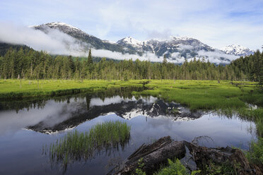 USA, Alaska, Hyder, Stewart, Flusslandschaft am Fish Creek - FOF005441