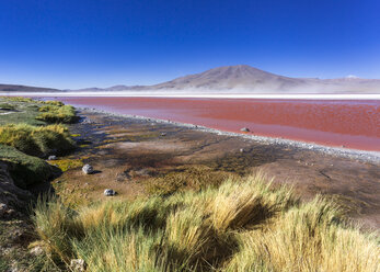 Südamerika, Bolivien, Atacamawüste, Altiplano, Laguna Colorada - STSF000270