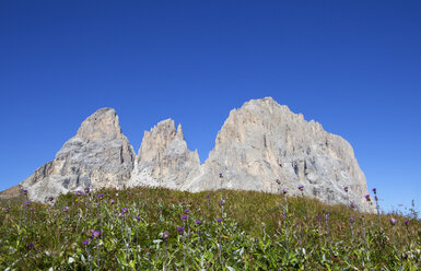 Italien, Südtirol, Langkofelgruppe - WWF003081