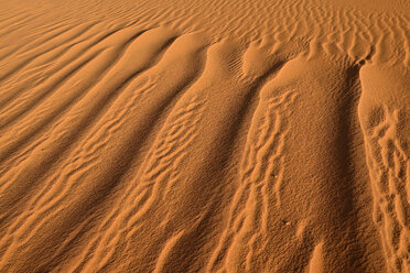 Nordafrika, Algerien, Sahara, Sandrippel, Struktur auf einer Sanddüne - ESF000873