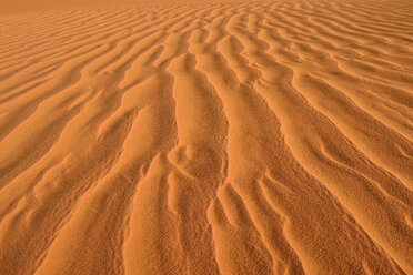 North Africa, Algeria, Sahara, sand ripples, texture on a sand dune - ESF000877