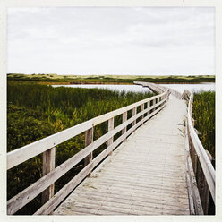 Wodden jetty in the Prince Edward Iceland National Park, Canada, Nova Scotia, PEI - SEF000154