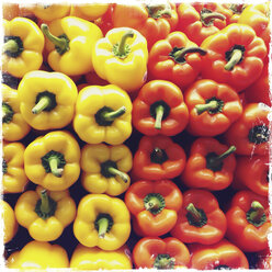 Buntes Paprika-Gemüse im Supermarkt - ABAF001132