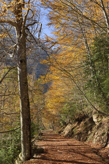 Spanien, Nationalpark Ordesa y Monte Perdido, Wanderweg in den Llanos de La Larri - LAF000491