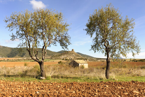 Spanien, Aragonien, Zentralpyrenäen, typische Landschaft - LAF000478