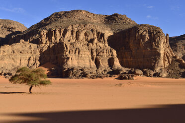 Algerien, Sahara, Tassili N'Ajjer National Park, Akazienbaum in einem Oued bei Tamezguida - ES000909
