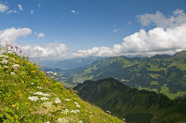 Austria, Allgaeu Alps, Vorarlberg, View from Fellhorn to Kleinwalsertal - WGF000186