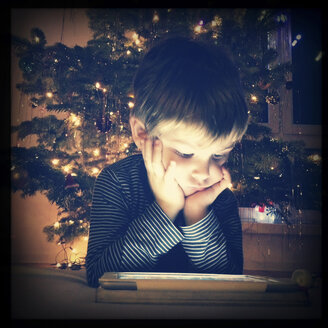 Toddler playing with tablet computer under Christmas tree, Berlin, Germany - ZMF000059