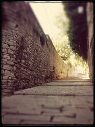 Straße, Gasse, Kopfsteinpflaster, Steinmauer, Bäume, Sonne, Die Niederlande - FMKF001155